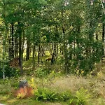 Summer House At With Fjord View