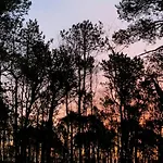 Summer House At With Fjord View Σπίτι διακοπών