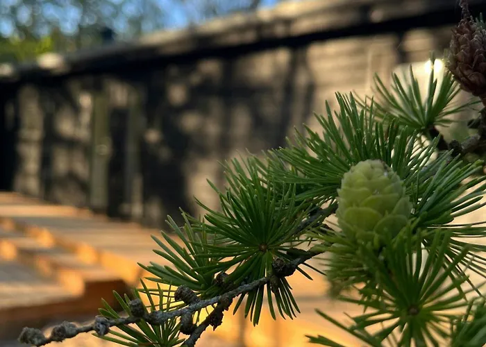 Summer House At With Fjord View * Thyholm